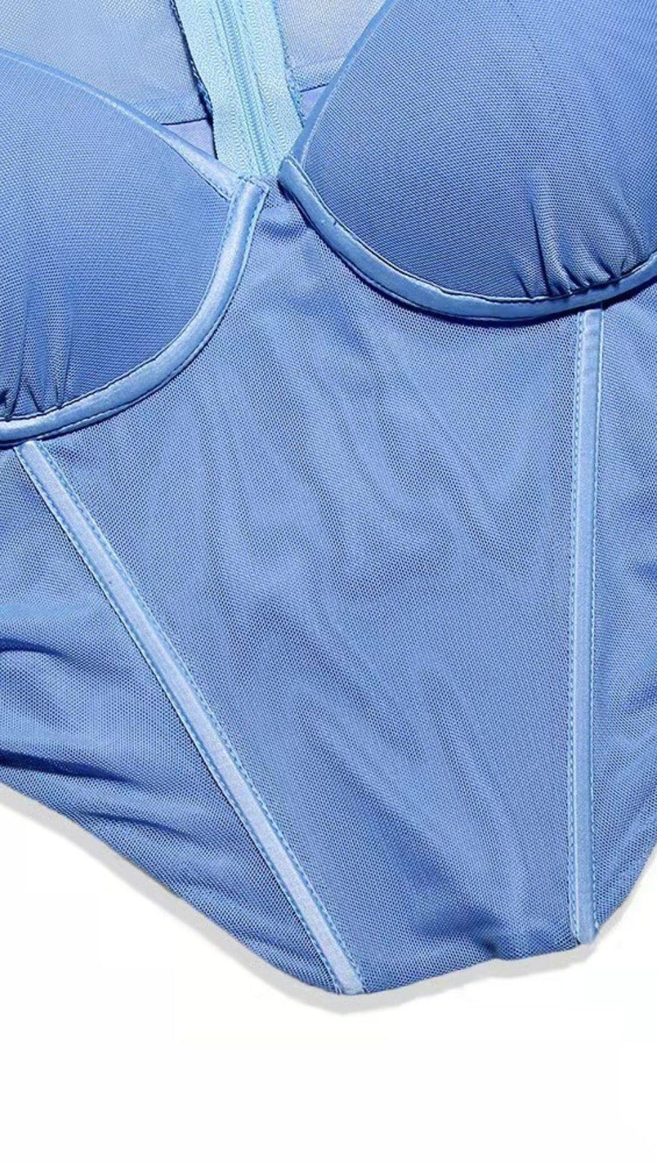 LONG SLEEVE CORSET TOP IN BLUE