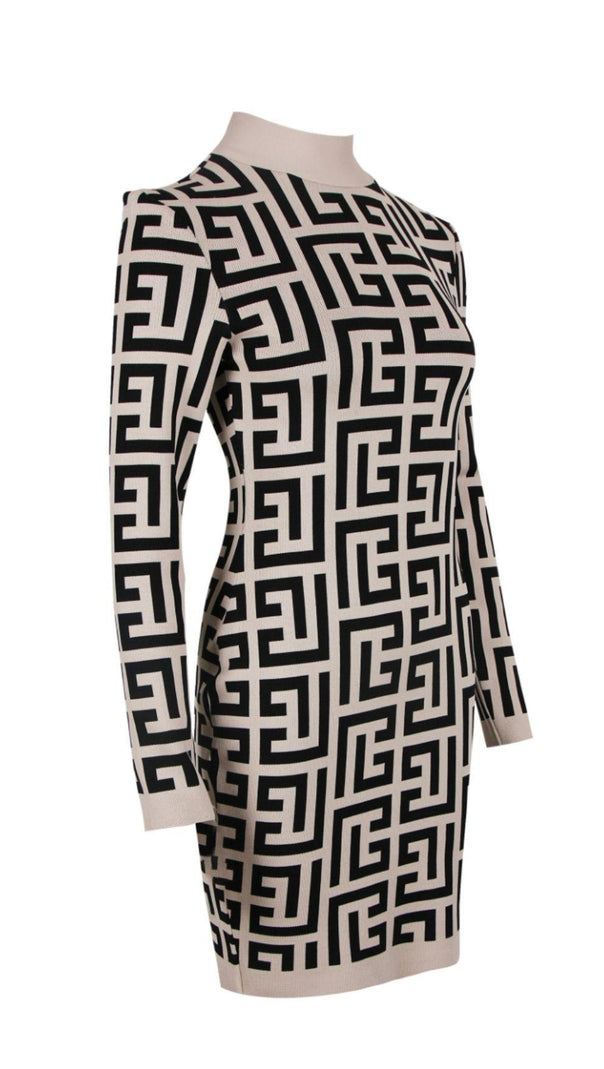 AIIZIE LONG SLEEVE HIGH COLLAR DRESS - product image