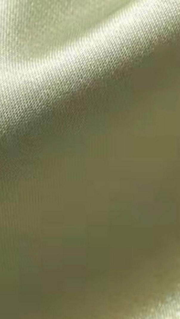 AIIZIE OLIVE GREEN CROSET TOP - product image