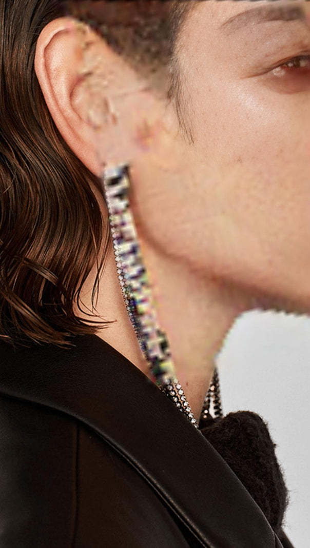 AIIZIE INLAID DIAMOND TASSEL EARRINGS - product image