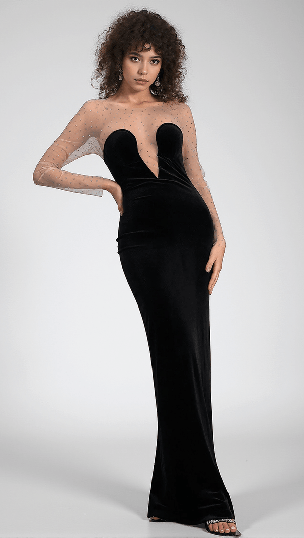 AIIZIE CALATOU MESH VELVET MAXI DRESS - product image