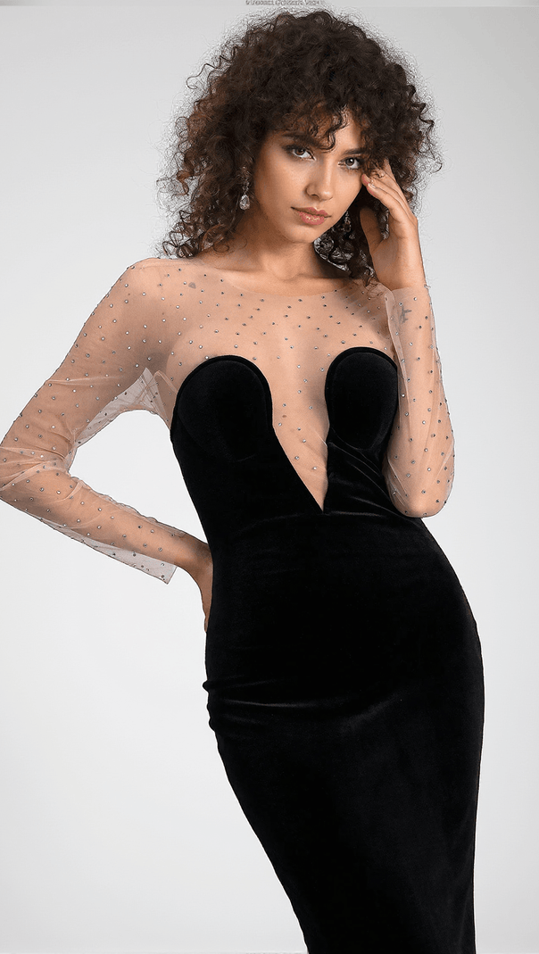 AIIZIE CALATOU MESH VELVET MAXI DRESS - product image