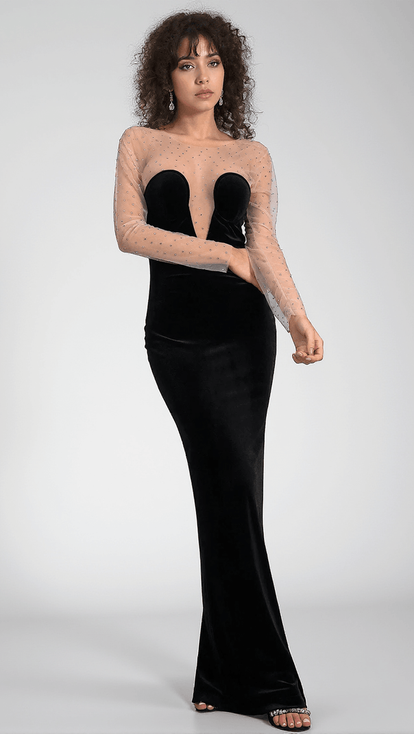 AIIZIE CALATOU MESH VELVET MAXI DRESS - product image