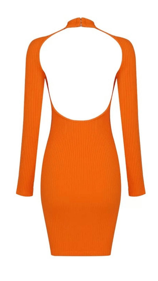 AIIZIE COLLAR HOLLOW OPEN BACK KNITTED DRESS - product image