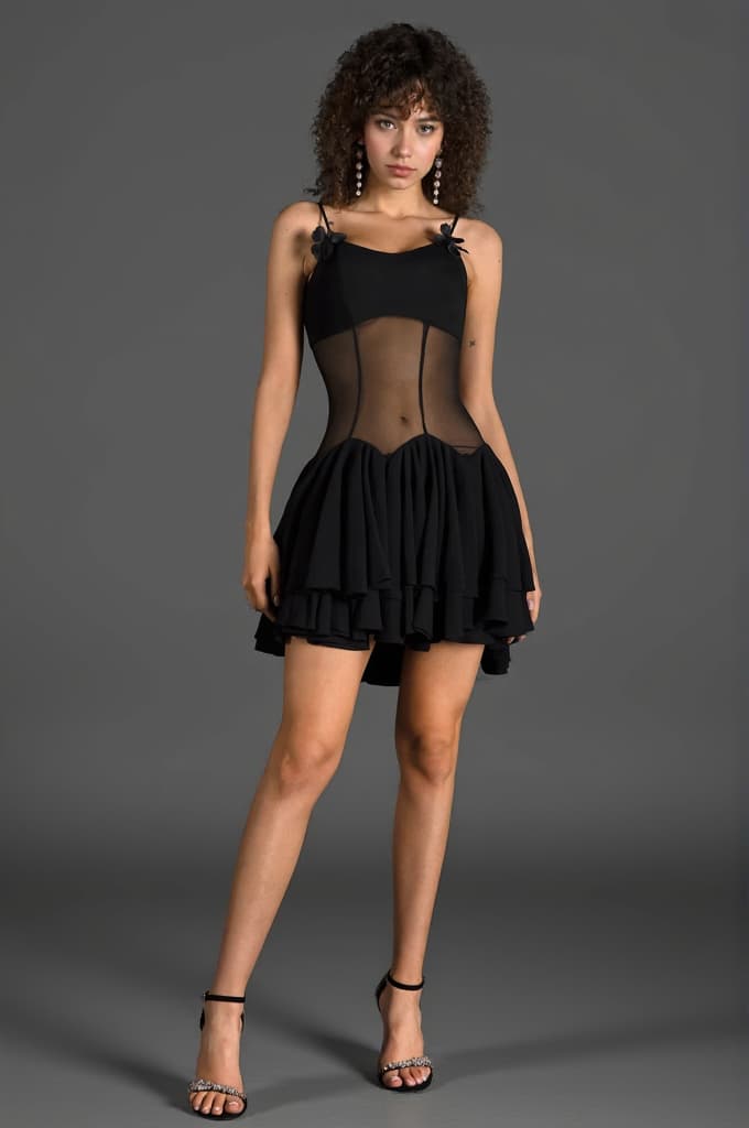 Ganili Spaghetti Sheer Ruffle Mini Dress