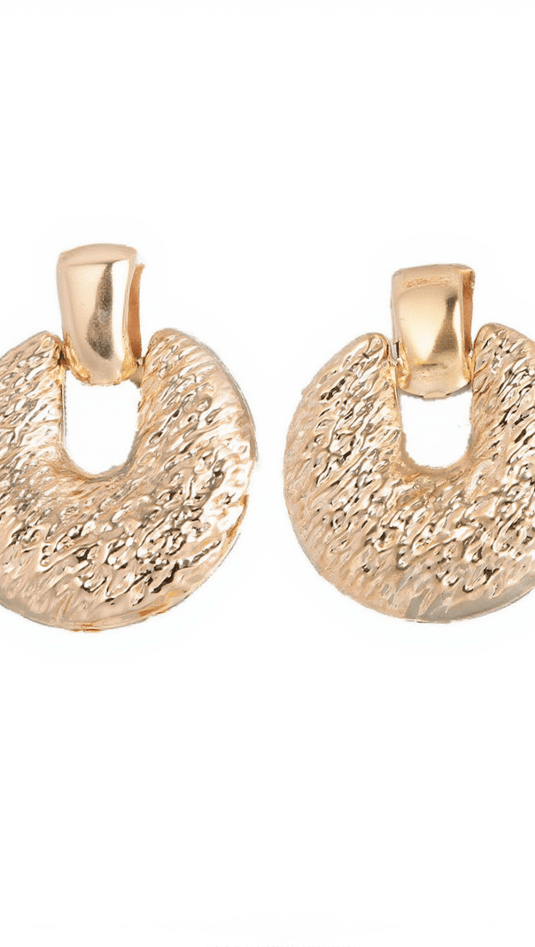 AIIZIE VONDA EARRINGS - product image