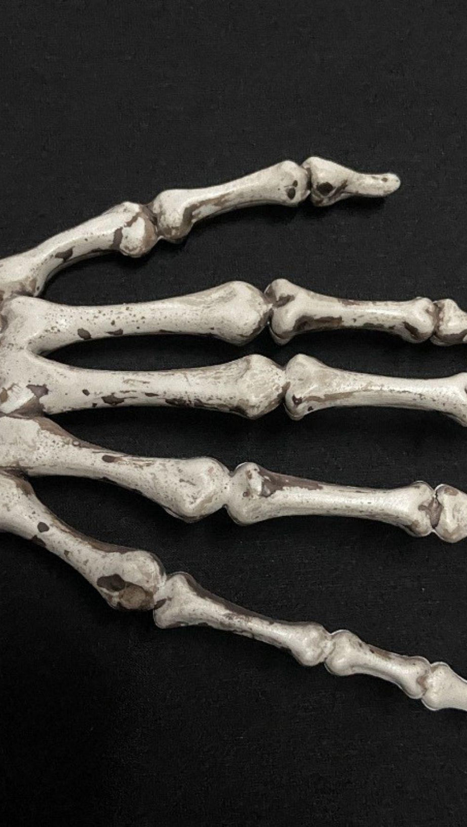 FERMACAPELLI A FORMA DI TESCHIO E OSSO