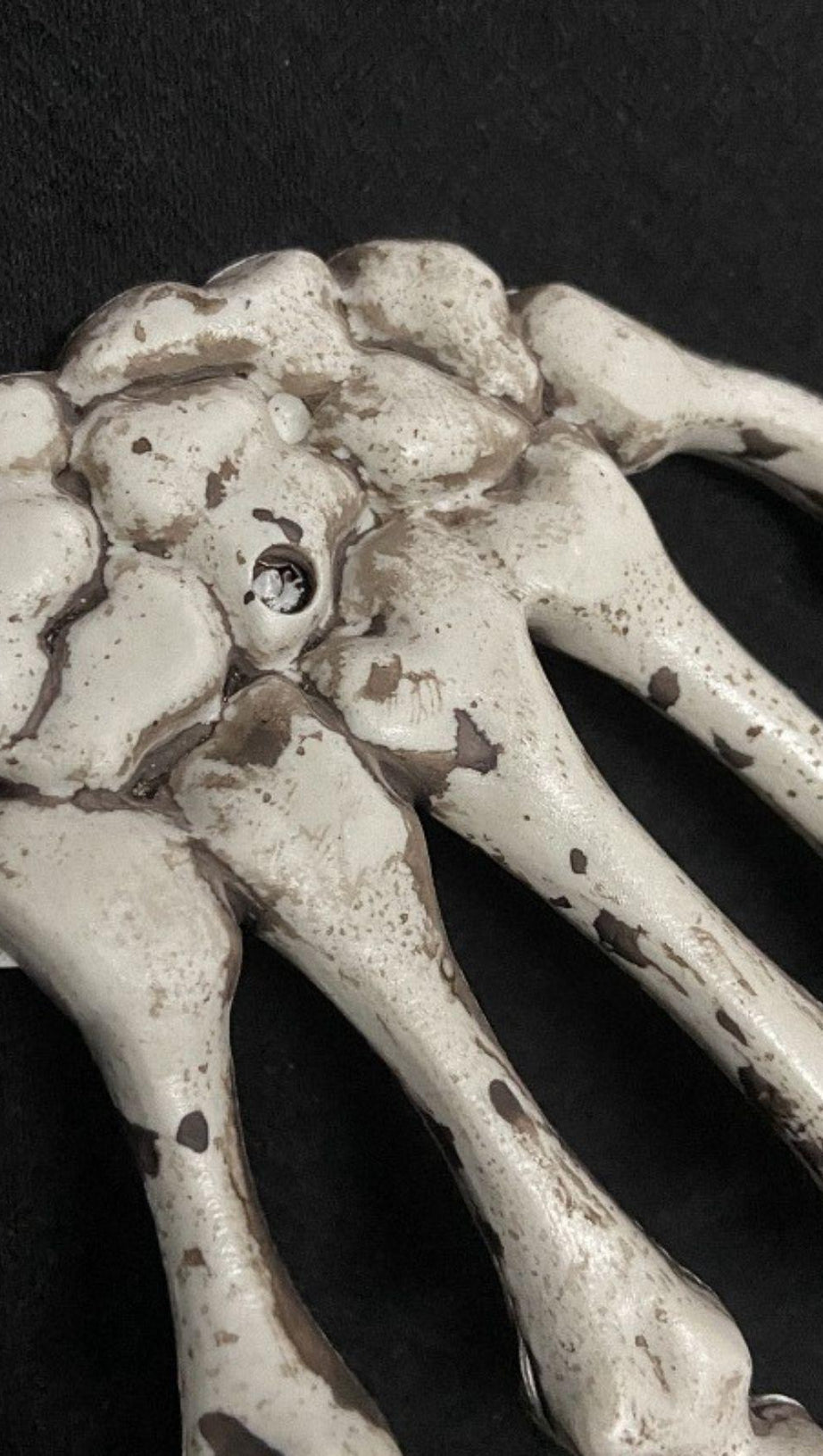 FERMACAPELLI A FORMA DI TESCHIO E OSSO