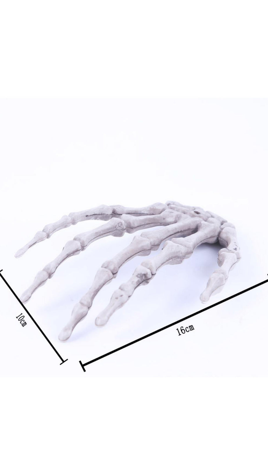 FERMACAPELLI A FORMA DI TESCHIO E OSSO