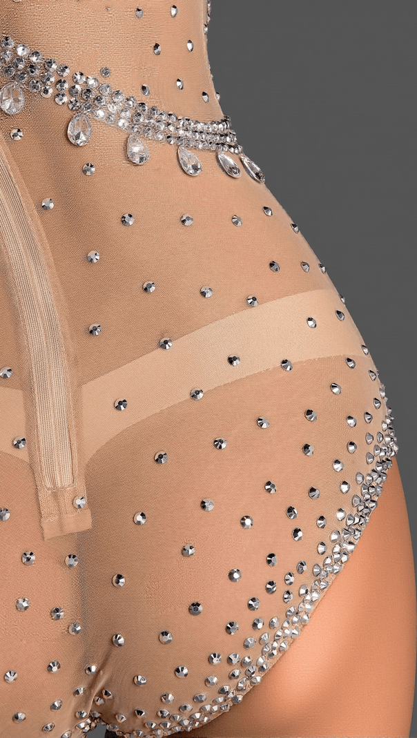 AIIZIE ASIMINA TRANSPARENT GLITTER MESH BODYSUIT - product image
