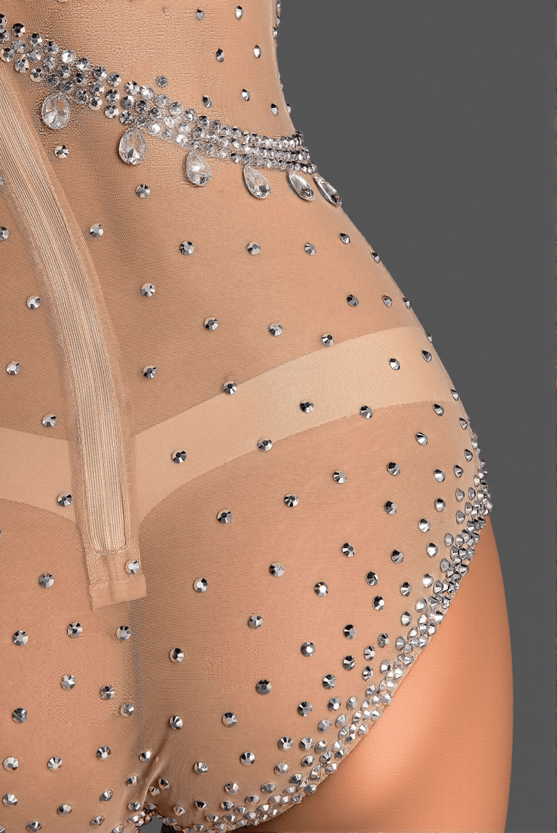 Asimina Transparent Glitter Mesh Bodysuit