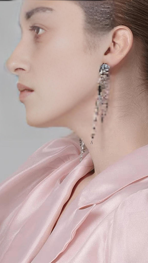 AIIZIE ZIRCON TASSEL EARRINGS - product image