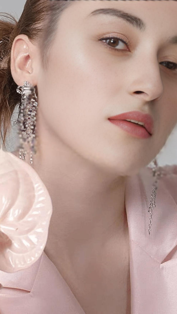 AIIZIE ZIRCON TASSEL EARRINGS - product image