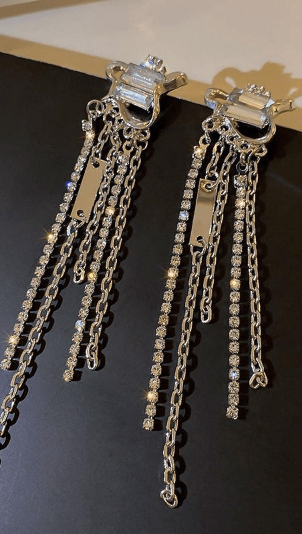 AIIZIE ZIRCON TASSEL EARRINGS - product image