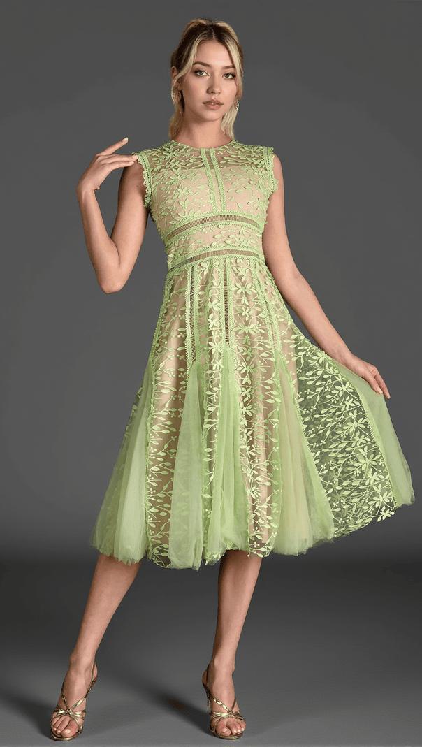 AIIZIE TASSOTI SLEEVELESS LACE EMBROIDERED DRESS - product image