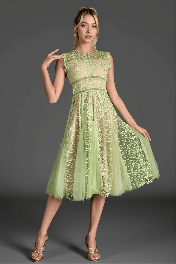 Tassoti Sleeveless Lace Embroidered Dress