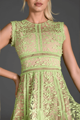 Tassoti Sleeveless Lace Embroidered Dress