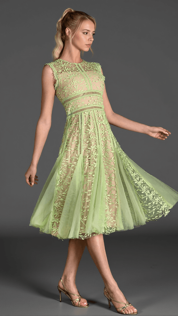 AIIZIE TASSOTI SLEEVELESS LACE EMBROIDERED DRESS - product image