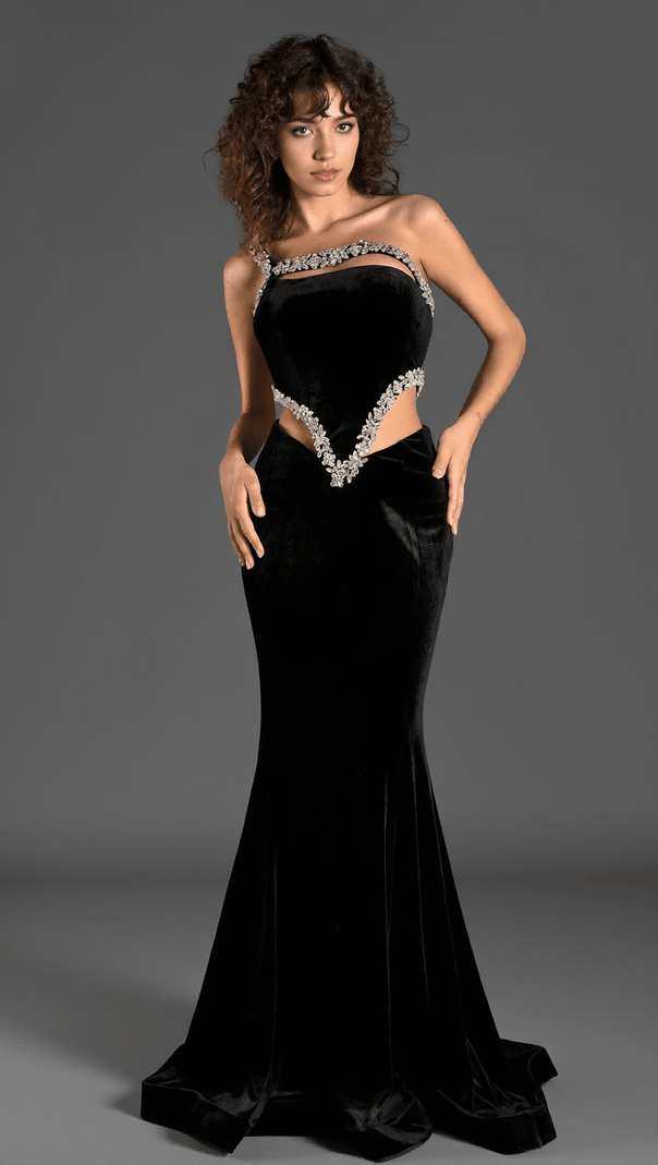 AIIZIE ARCHILIS DIAMOND VELVET MERMAID DRESS - product image