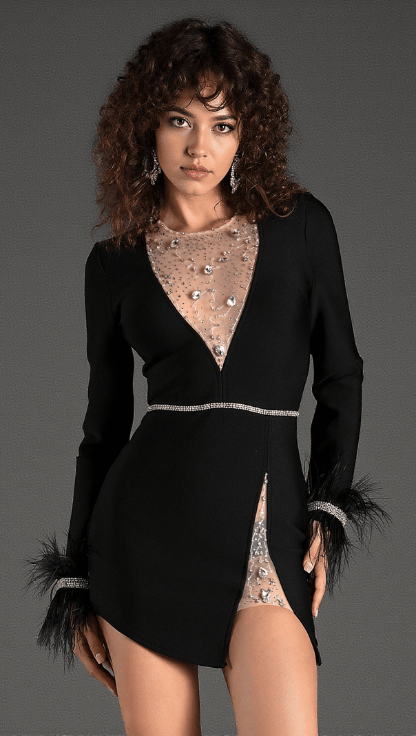 AIIZIE GAROTIS LONG SLEEVE CRYSTAL FEATHER DRESS - product image