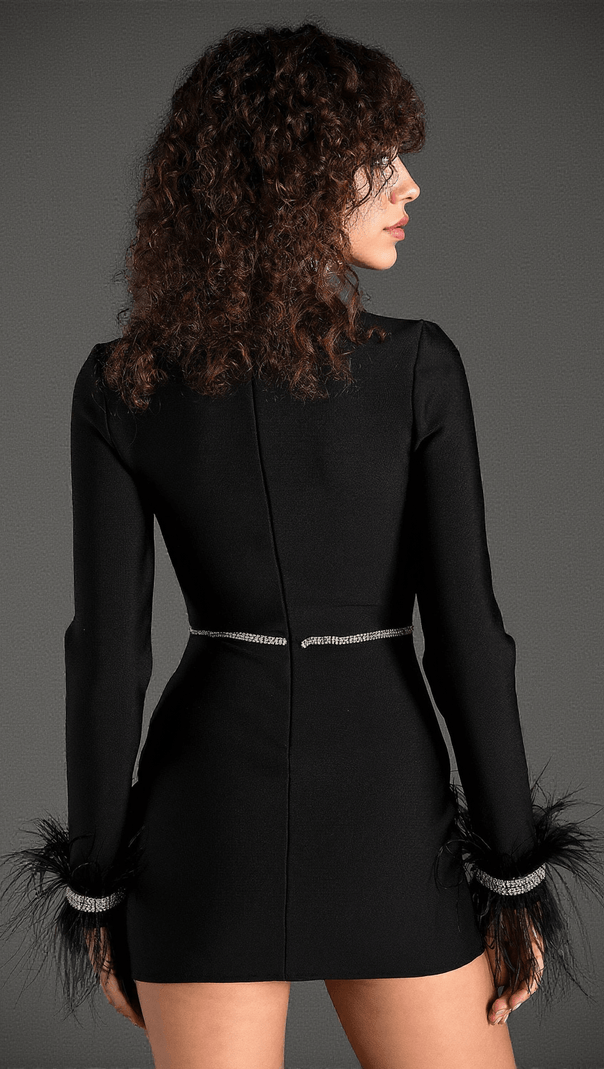 AIIZIE GAROTIS LONG SLEEVE CRYSTAL FEATHER DRESS - product image