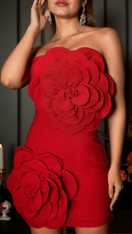 AFRODITI 3D FLORAL CORSET MINI DRESS