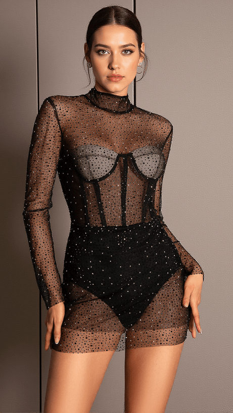 ANTHIDE MESH SEE-THROUGH RHINESTONE BODYSUIT