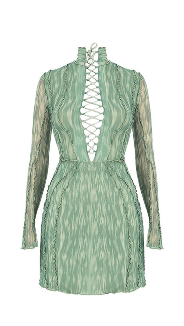 AIIZIE PRINTED MESH LACE UP MINI DRESS - product image