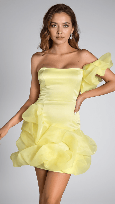 METRAKIS RUFFLE EMBELLISHED MINI DRESS