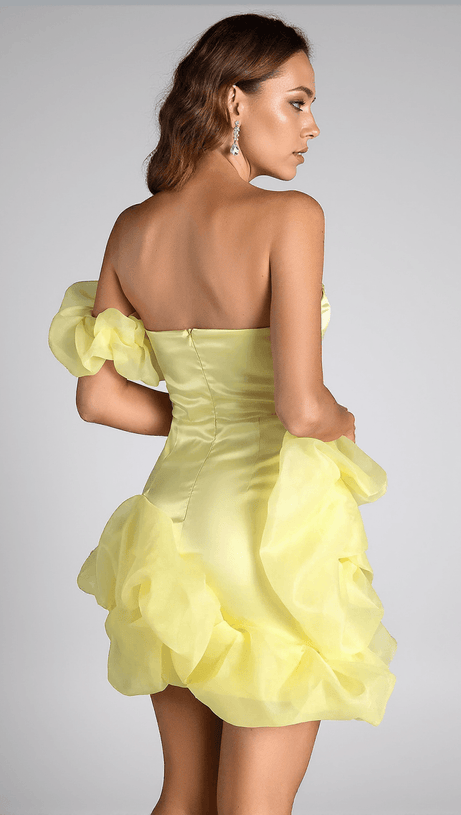 METRAKIS RUFFLE EMBELLISHED MINI DRESS