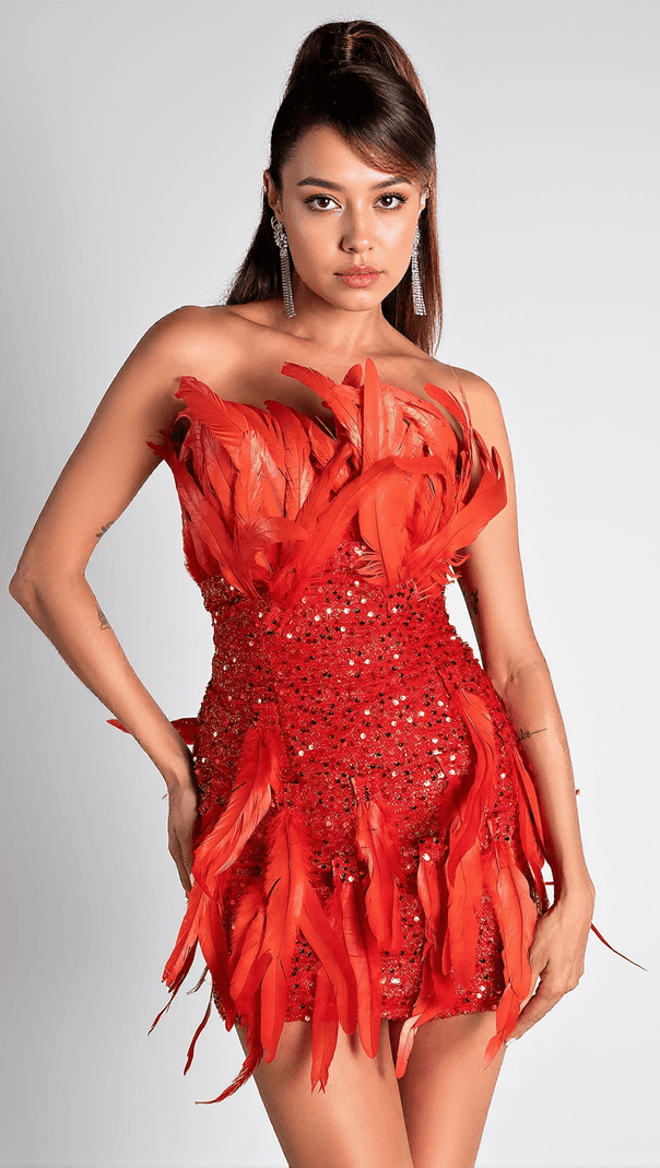 AIIZIE PAPATSI FEATHER MINI DRESS - product image