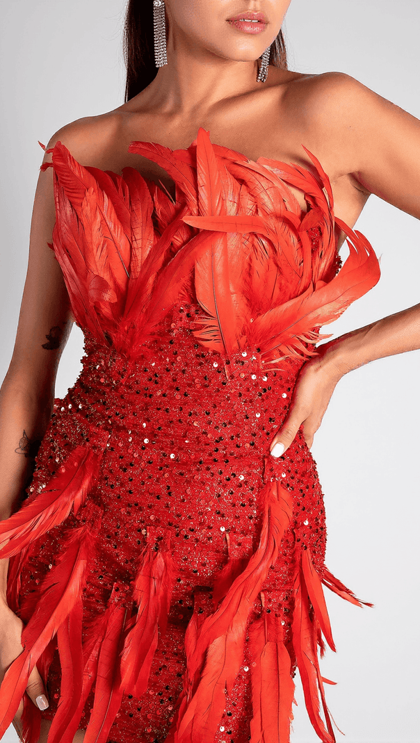 AIIZIE PAPATSI FEATHER MINI DRESS - product image