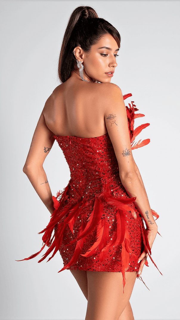 AIIZIE PAPATSI FEATHER MINI DRESS - product image