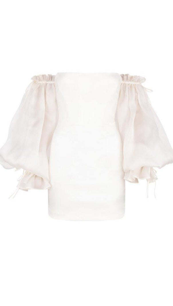 AIIZIE IVORY STRAPLESS TUBE DRESS - product image