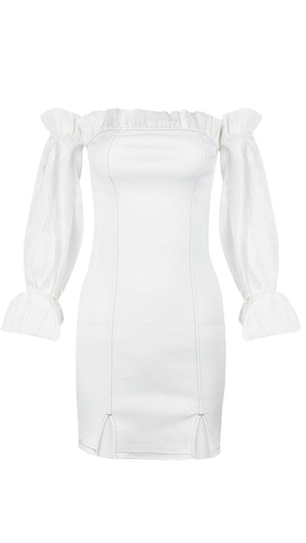 AIIZIE LONG-SLEEVED DRESS WITH MELANGE LACE. - product image