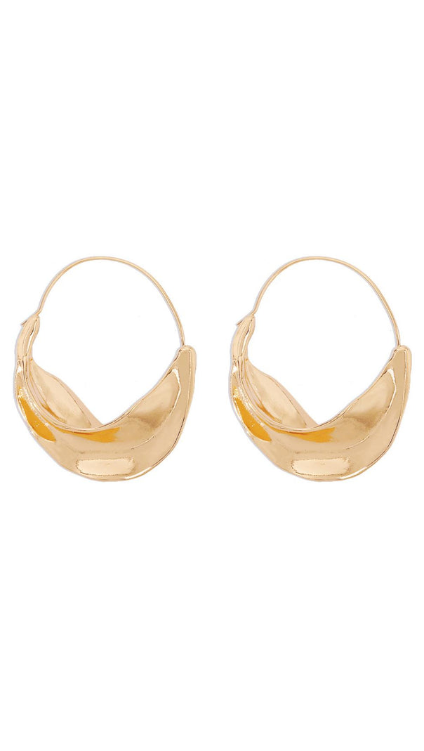 AIIZIE IRREGULAR LEAF EARRINGS - product image