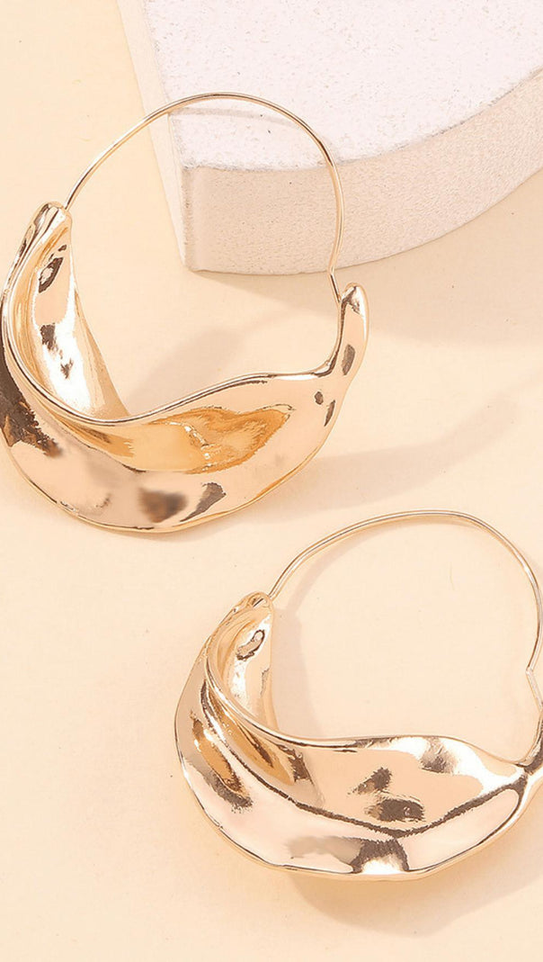 AIIZIE IRREGULAR LEAF EARRINGS - product image