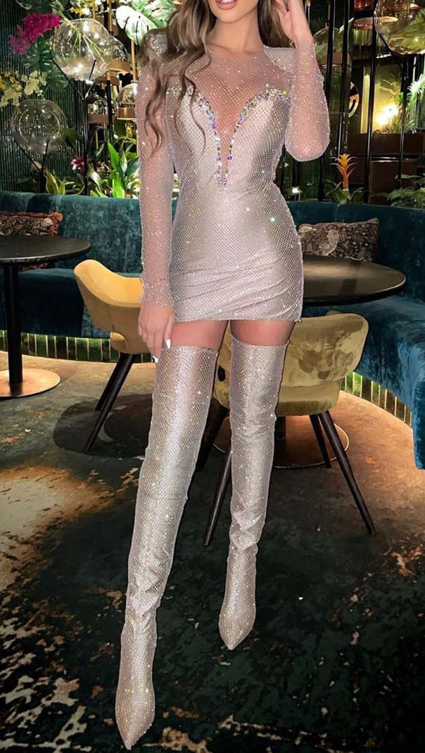AIIZIE RHINESTONE MESH MINI DRESS IN SLIVER - product image