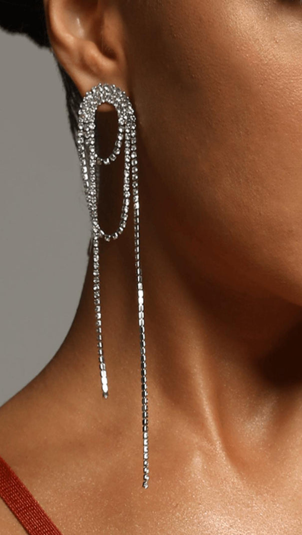 AIIZIE SILVER DIAMOND TASSEL EARRINGS - product image
