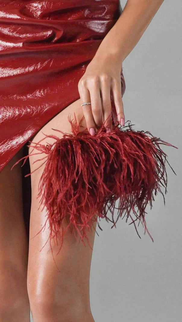 AIIZIE FEATHER CLUTCH - product image