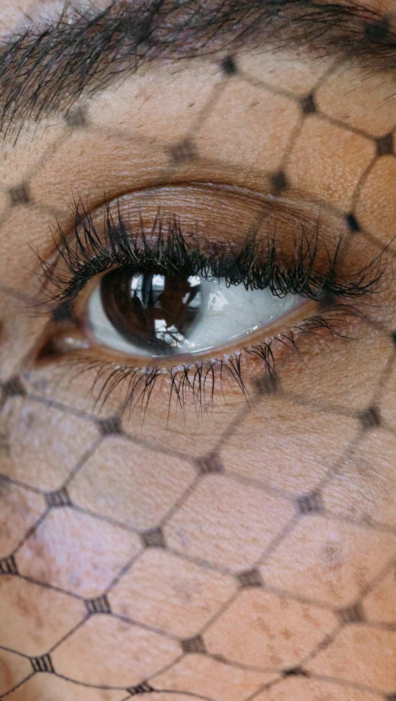 DREIFACHROSETTE MIT SCHLEIER IN SCHWARZ