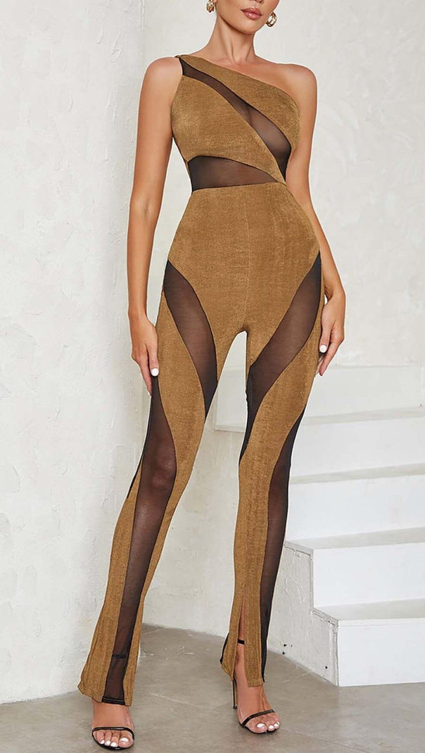 AIIZIE ASYMMETRICAL PATTERN MESH JUMPSUIT IN BROWN - product image