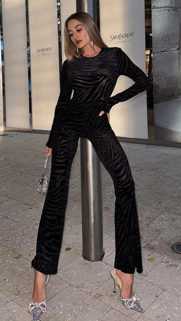 Zebra Print Sheer Carved Velvet Jumpsuit Set