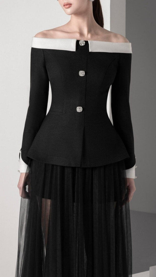 AIIZIE BOTTONS MESH TWO-PIECE SET DRESS IN BLACK - product image