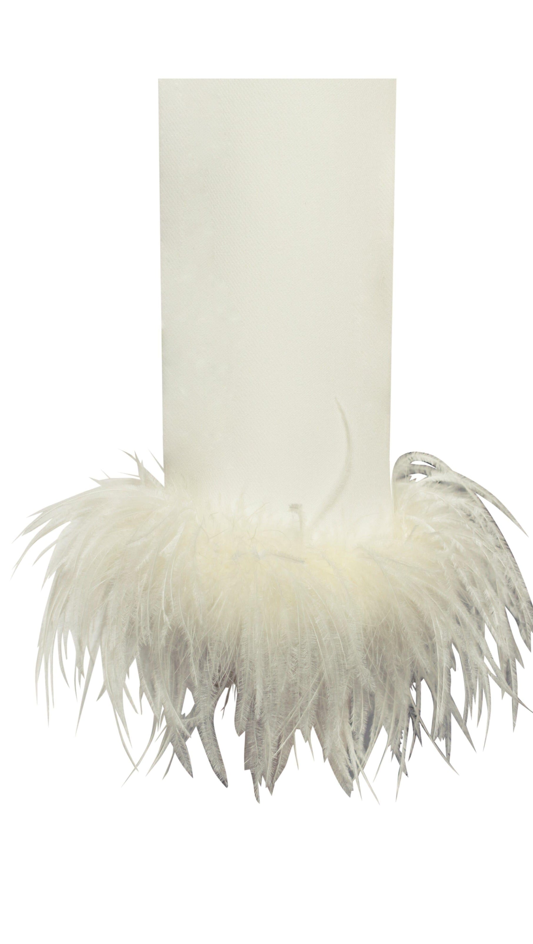 AIIZIE CREAM WHITE BLAZER SUIT WITH FEATHER TRIM - product image
