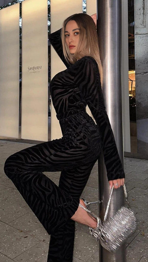 Zebra Print Sheer Carved Velvet Jumpsuit Set