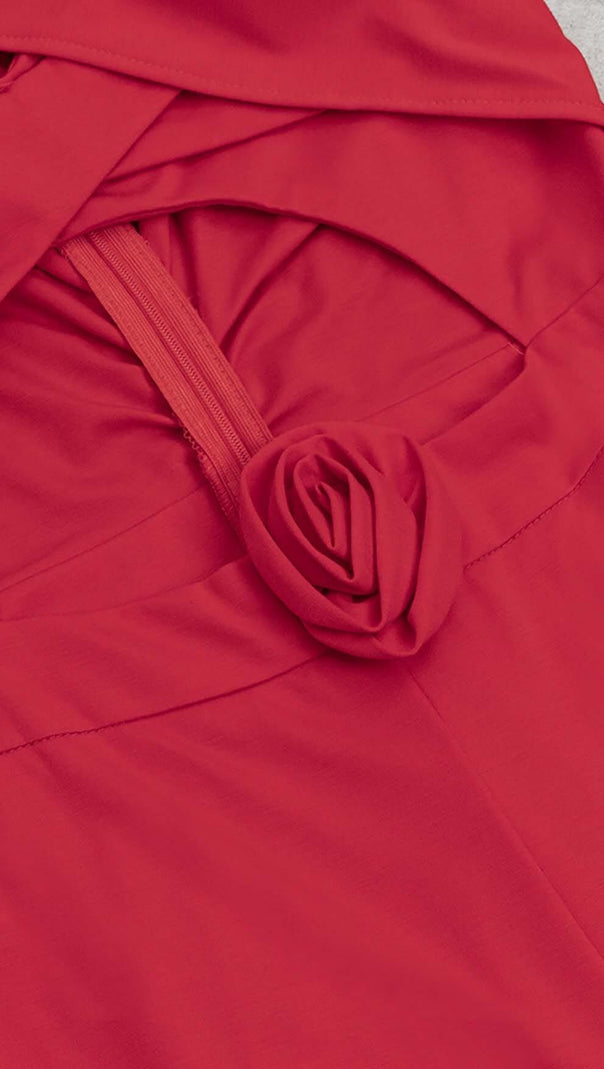 AIIZIE HALTER SLEEVELESS JUMPSUIT IN RED - product image