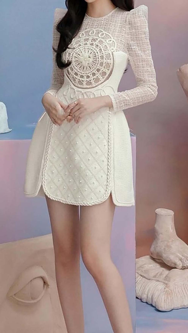 AIIZIE LONG-SLEEVE EMBROIDERED LACE MINI DRESS IN BEIGE - product image