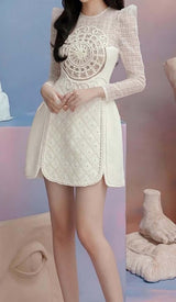 LONG-SLEEVE EMBROIDERED LACE MINI DRESS IN BEIGE