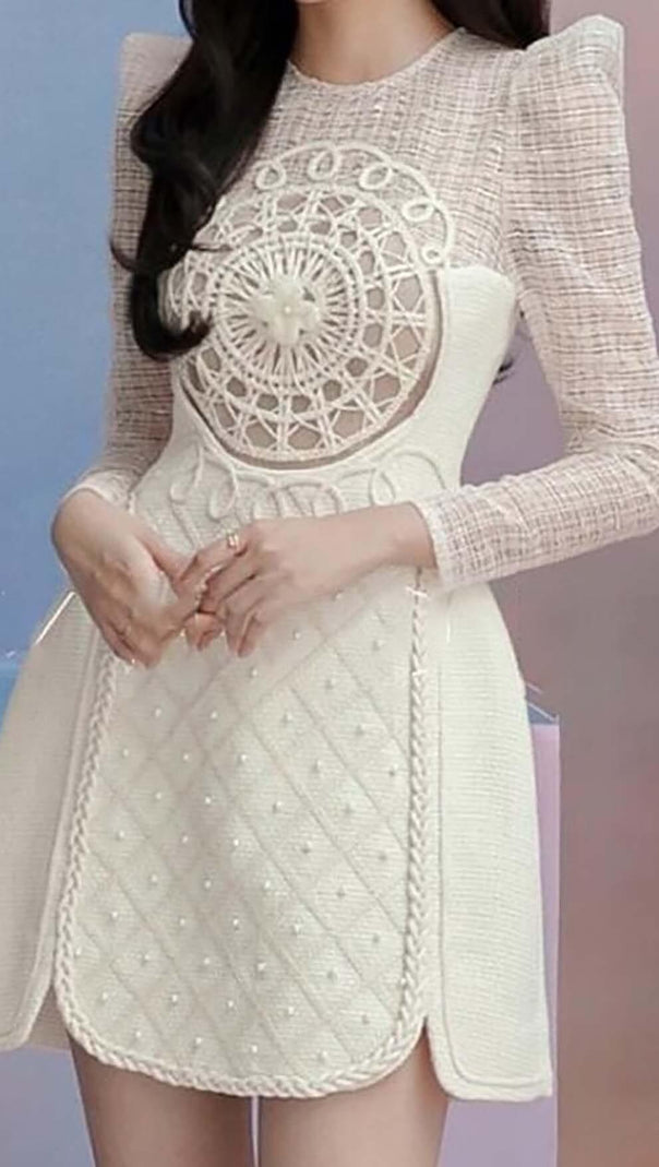AIIZIE LONG-SLEEVE EMBROIDERED LACE MINI DRESS IN BEIGE - product image